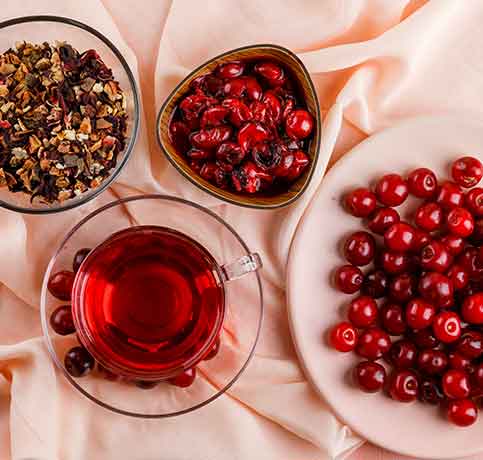 cranberry extract