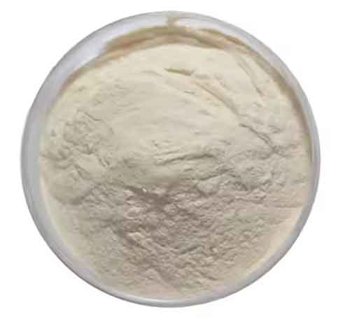 ferric pyrophosphate