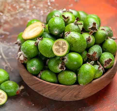 garcinia cambogia extract