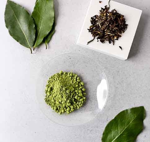 green tea extract
