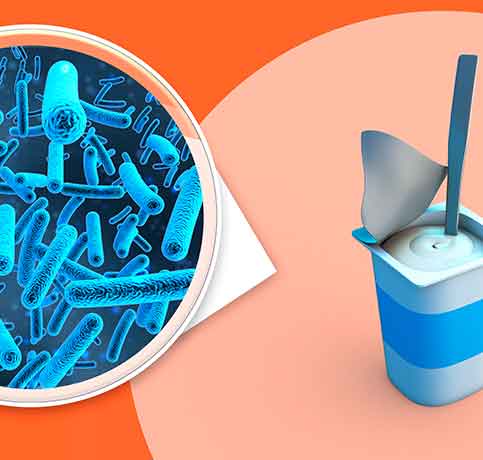 lactobacillus rhmanosus powder