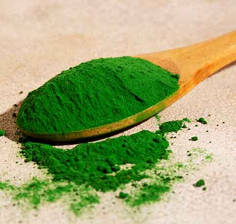 spirulina powder